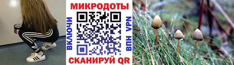 Галлюциногенные грибы прущие грибы  Чердынь 